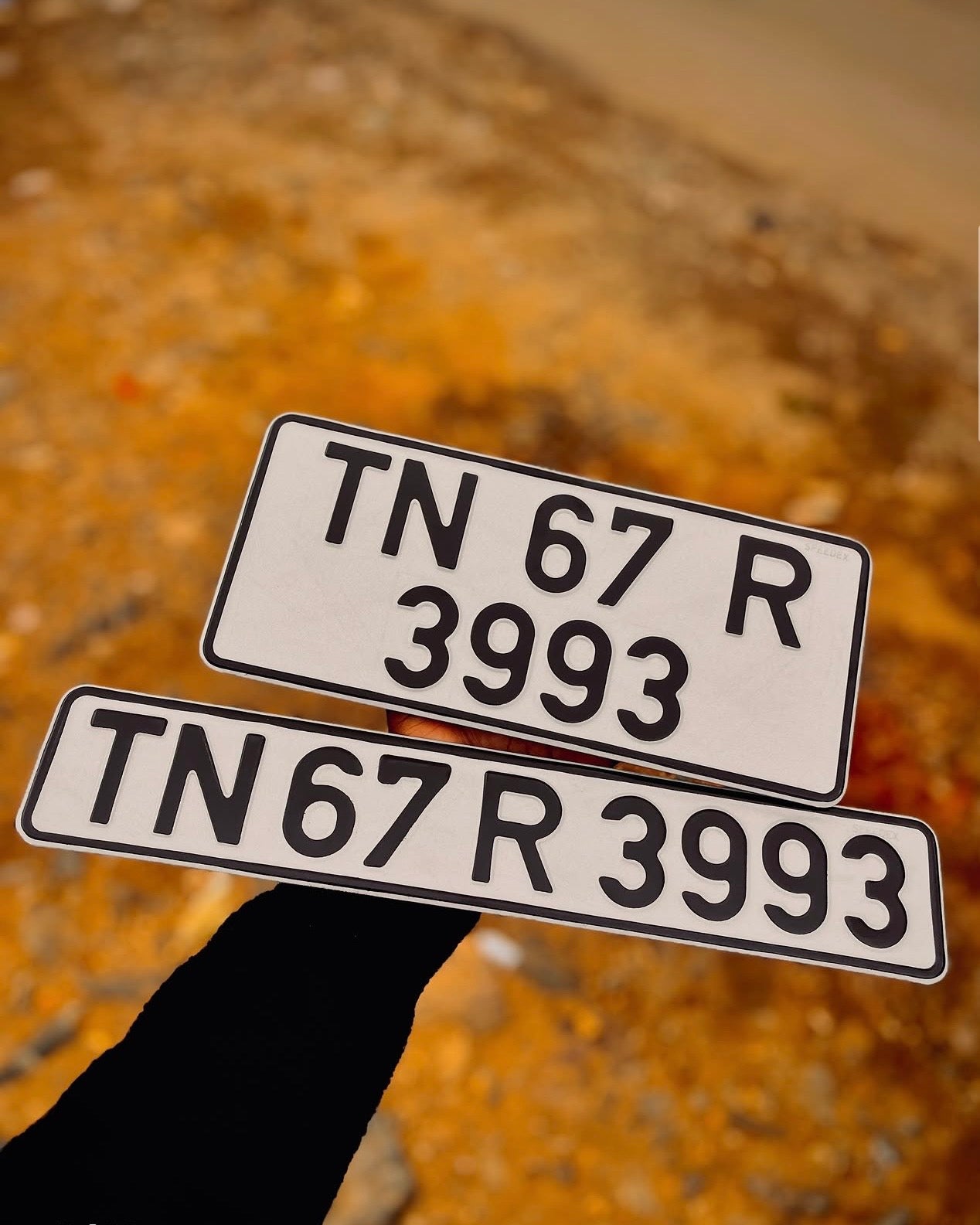 Custom sized SPEED X Number Plates